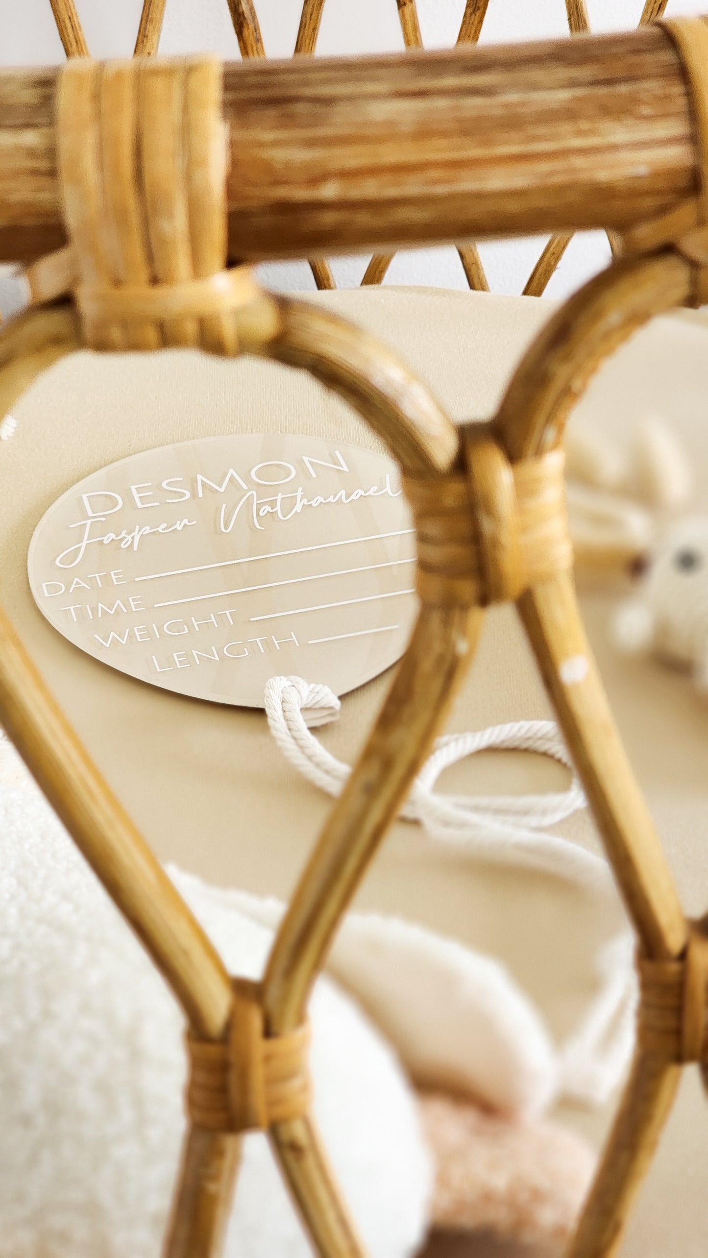 Balloon Fill-In Birth Announcement Plaque | Hand-painted Acrylic Newborn Photo Prop