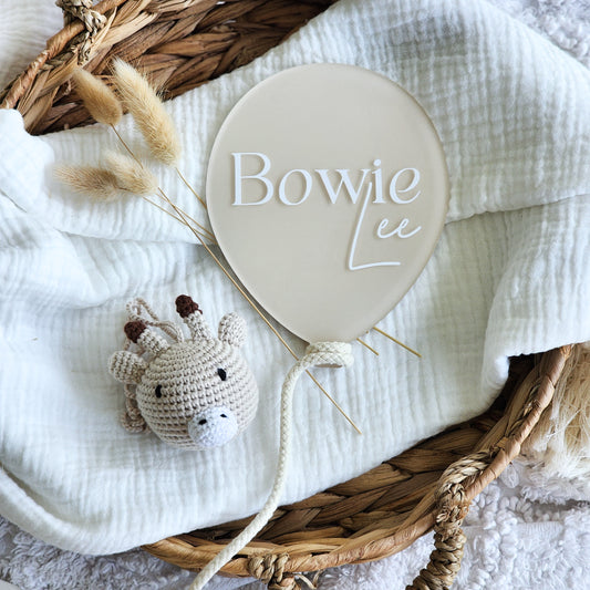 Balloon Birth Announcement Plaque ~ Hand-Painted Acrylic Baby Name Sign