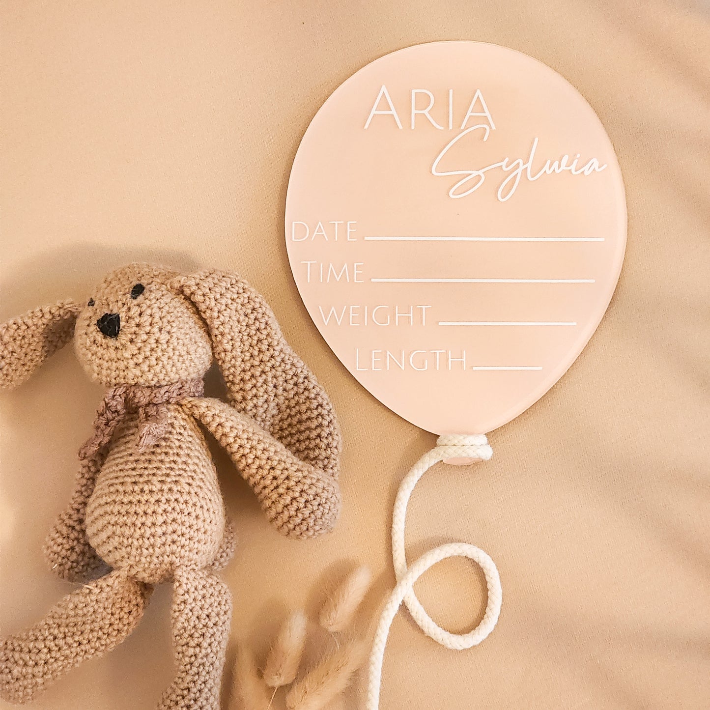 Balloon Fill-In Birth Announcement Plaque | Hand-painted Acrylic Newborn Photo Prop