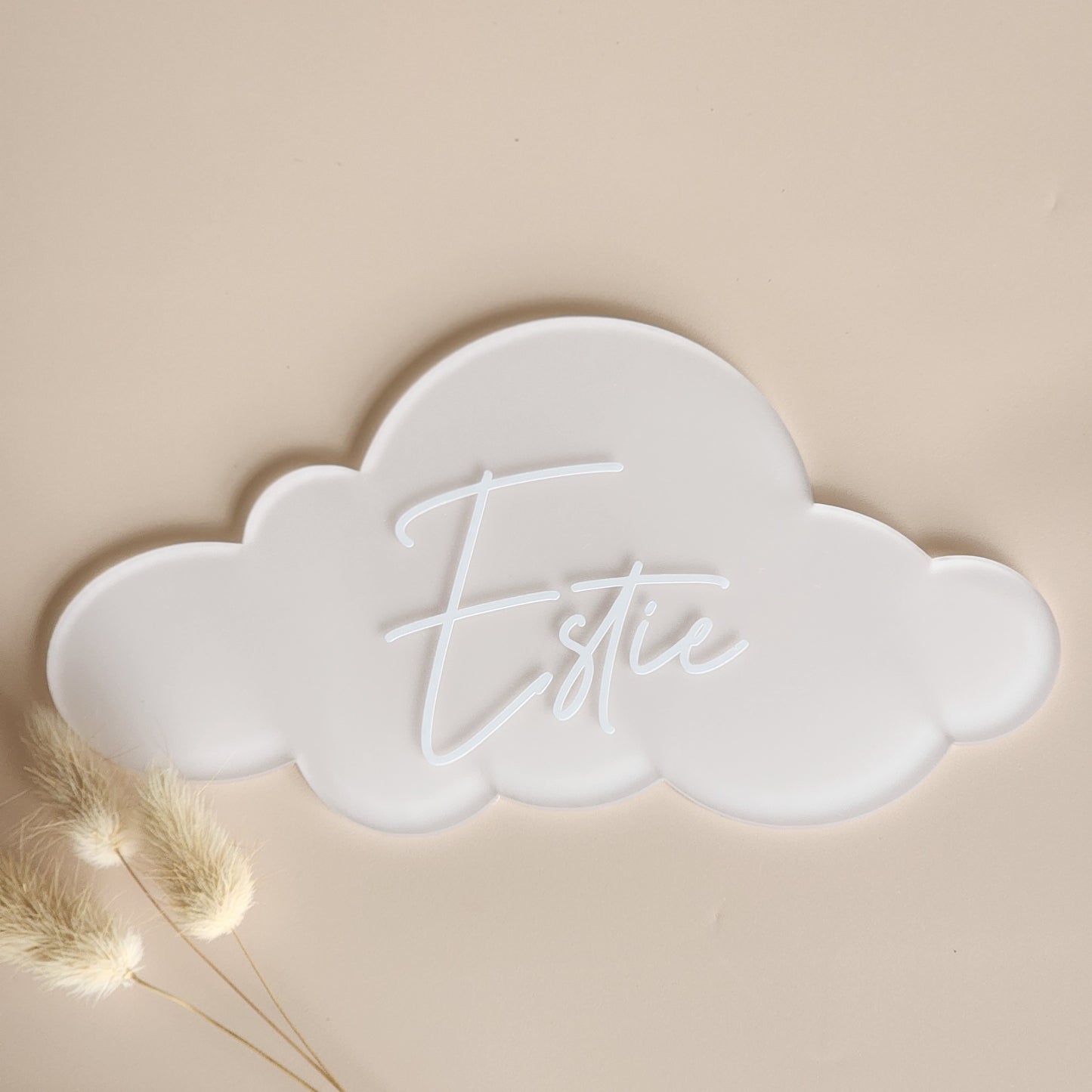 Cloud Birth Announcement Plaque ~ Painted Acrylic Baby Name Sign