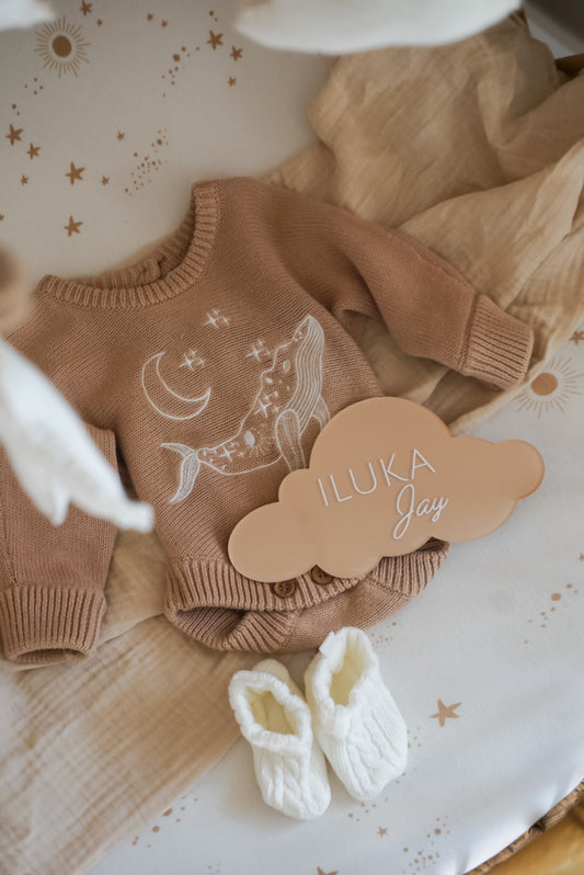 Cloud Birth Announcement Plaque ~ Hand-Painted Acrylic Baby Name Sign