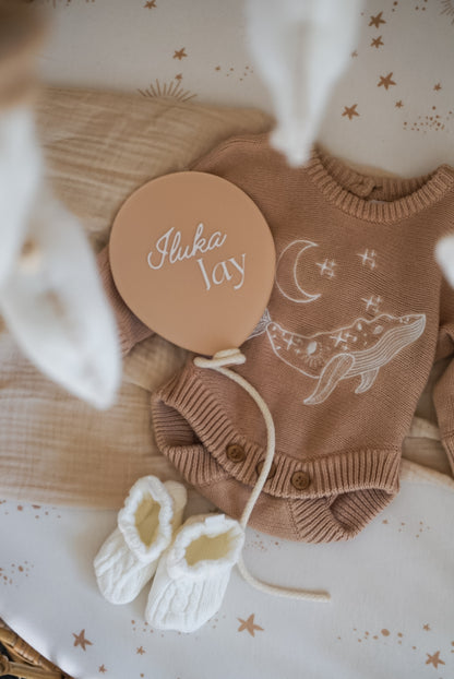 Balloon Birth Announcement Plaque ~ Painted Acrylic Baby Name Sign