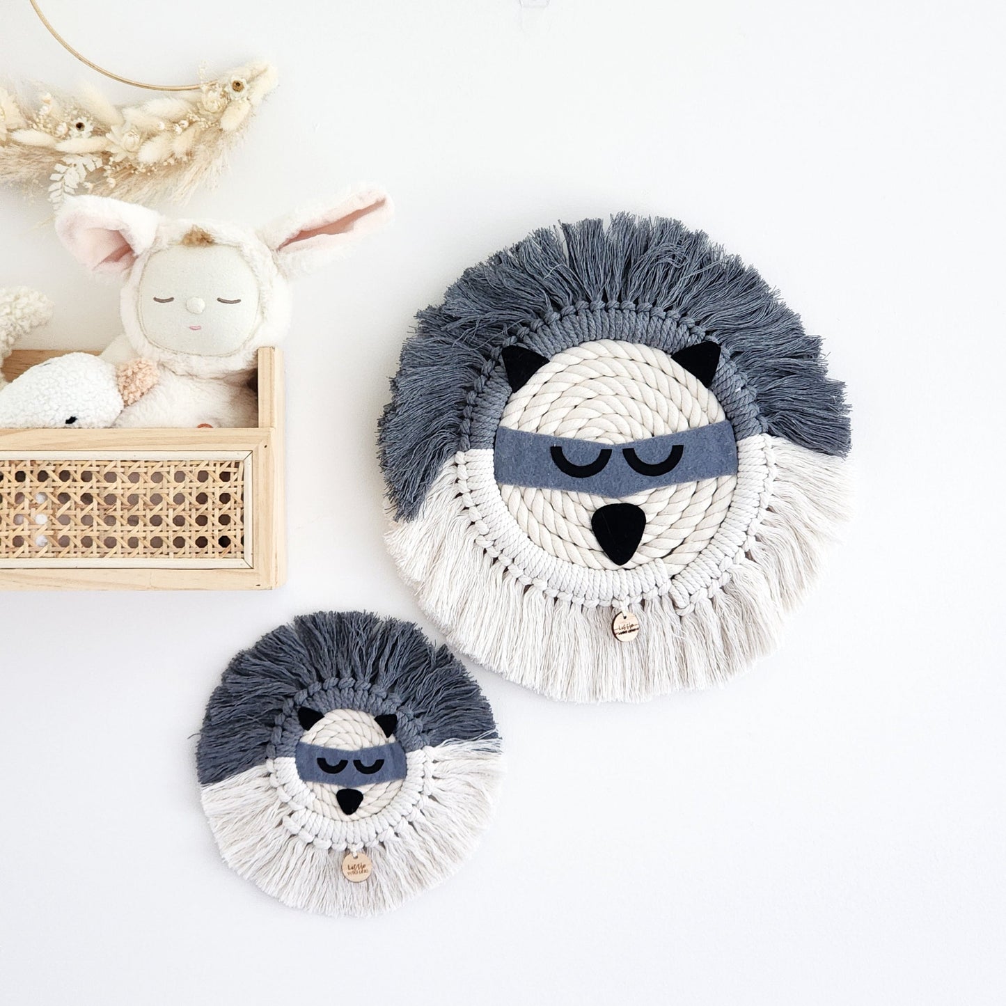 BOHO Raton Laveur