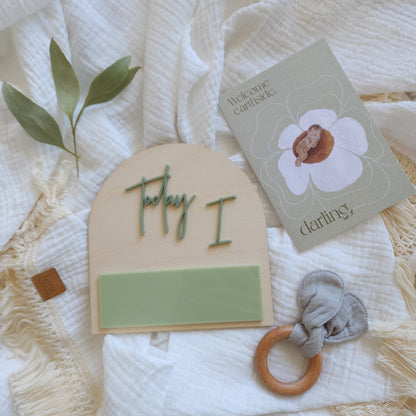 Boho Baby | "Today I" Reusable Wooden Milestone Arch